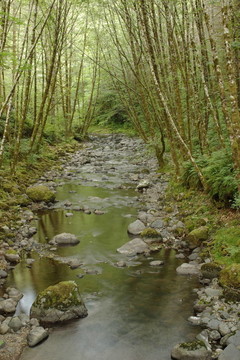 埃爾克河