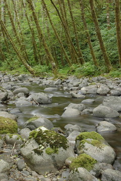 埃爾克河