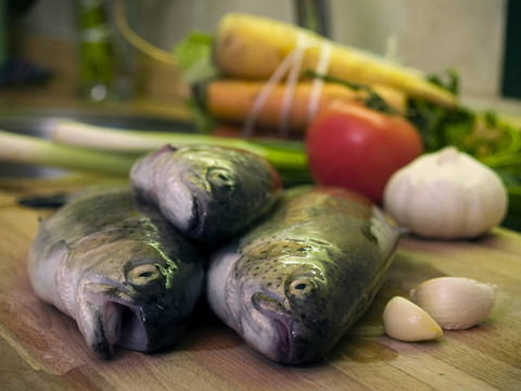 新鮮的鱒魚(yú)3