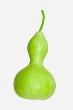 葫蘆- Bottle Gourd