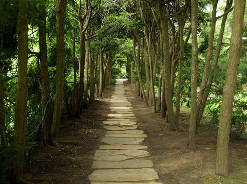 石板路