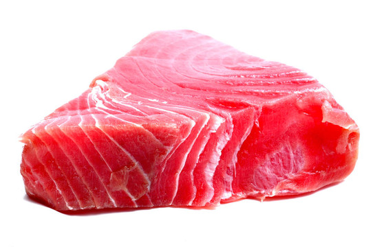 黃鰭金槍魚