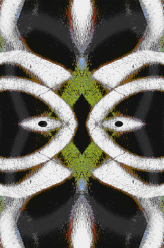 戰(zhàn)士的面具