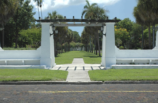 公園植樹