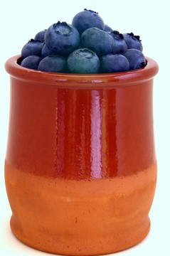 藍(lán)莓小