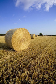 field02