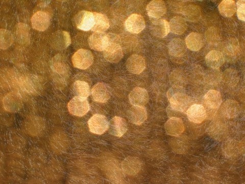 金色的光芒
