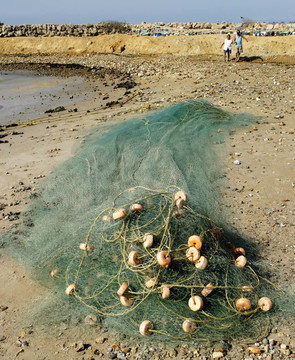 墨西哥魚網(wǎng)