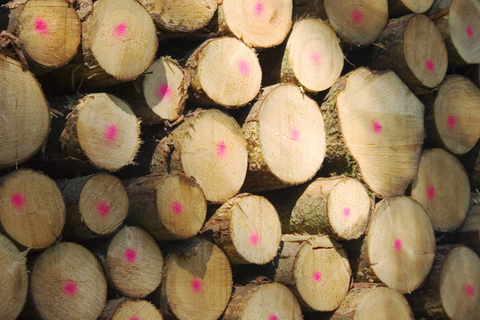 woodstack