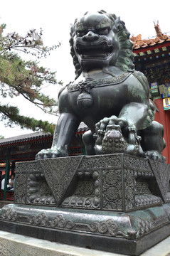 鐵獅子
