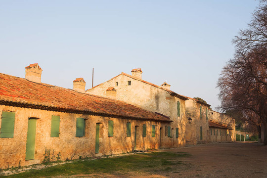 Isledemarguerite 15