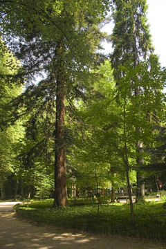 PARK2