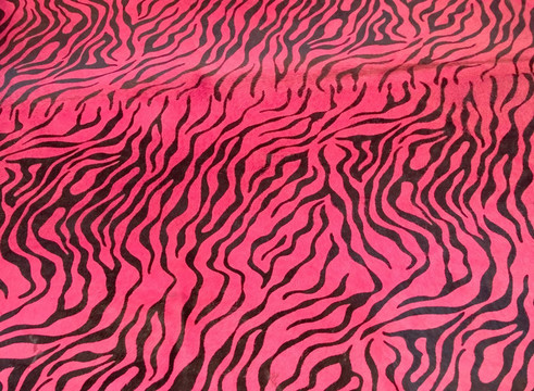 粉紅色的斑馬條紋