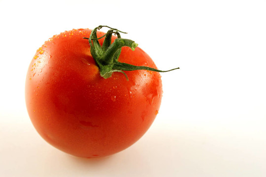 一個(gè)單一的番茄