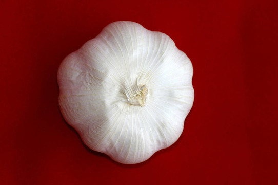 大蒜鱗莖