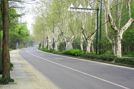 路在春天