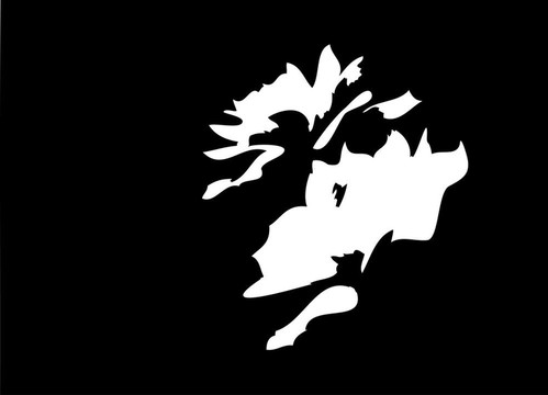 黑白花抽象