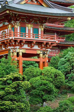日本茶園