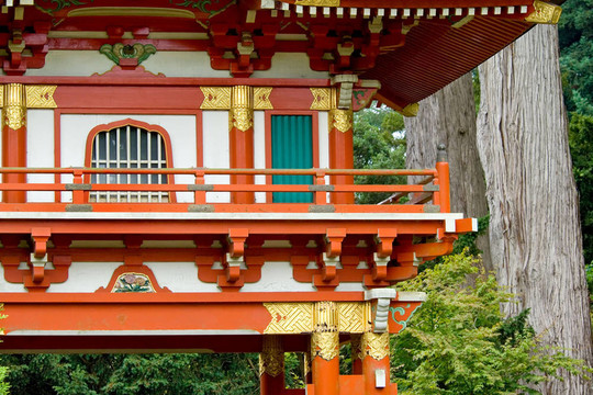 日本茶園