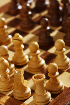 國(guó)際象棋