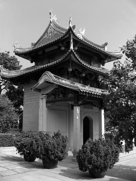 寶塔黑