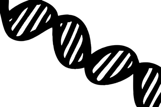DNA