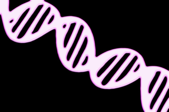 DNA