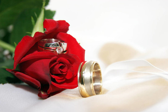 玫瑰中的結(jié)婚戒指