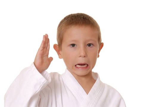 新功夫小子二