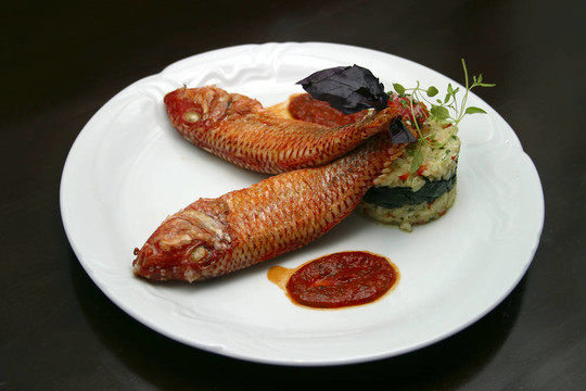 魚