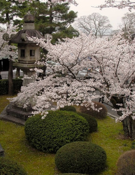 春天的日本花園
