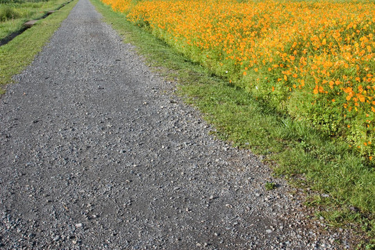 花路