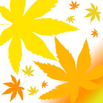秋天的落葉