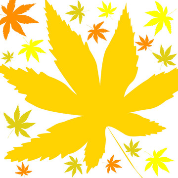 飄落的樹葉