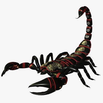 蝎子