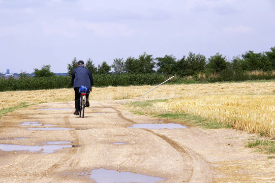 場(chǎng)上的02 byciclist路徑