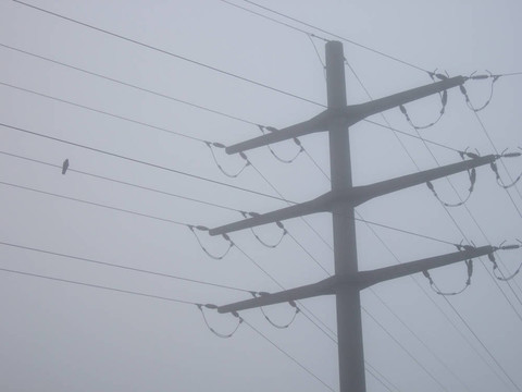 電線桿