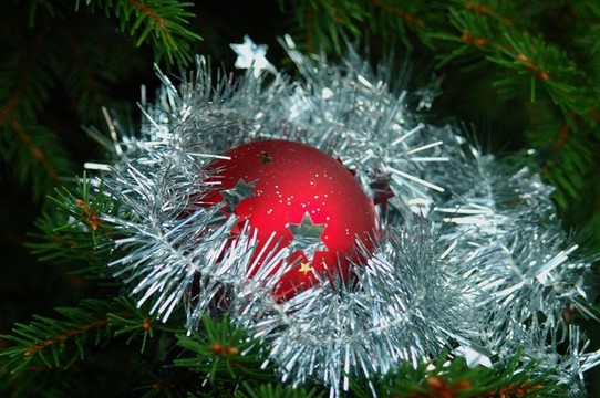 紅christmasball
