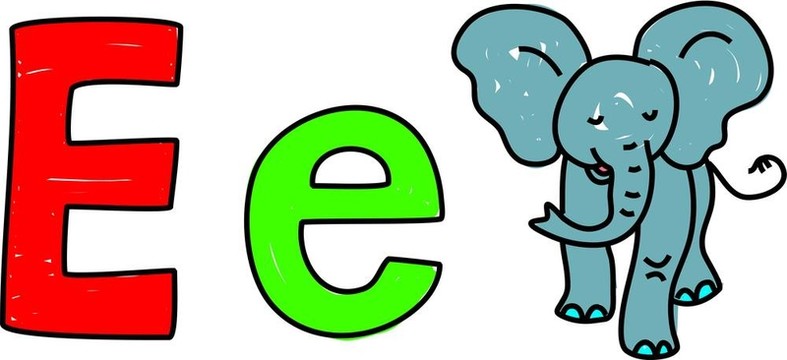 E是大象