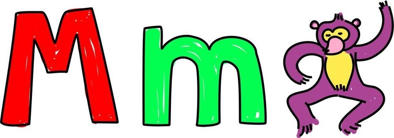 M是猴子