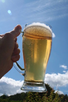 干杯!！