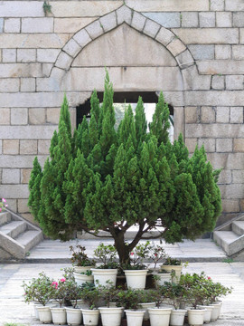 清真寺遺址