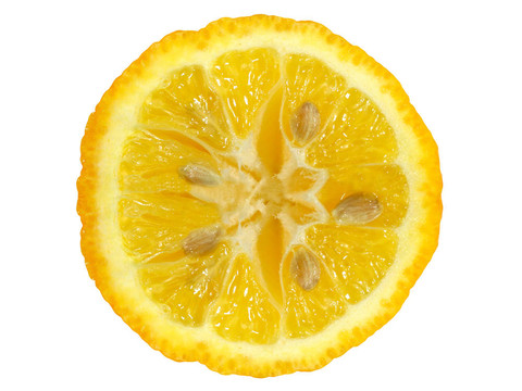 檸檬片