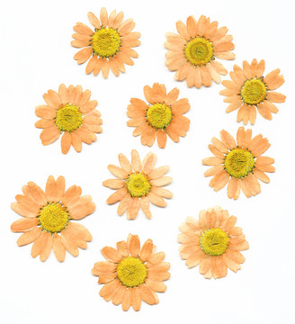 干記者Flowers