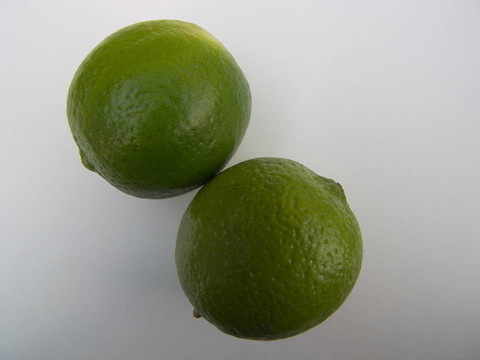 兩個漂亮的limettes