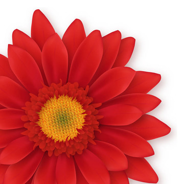 Gerbera Close