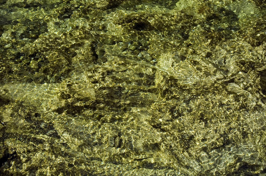 2水漣漪