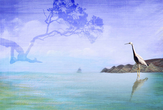 蒼鷺和樹角