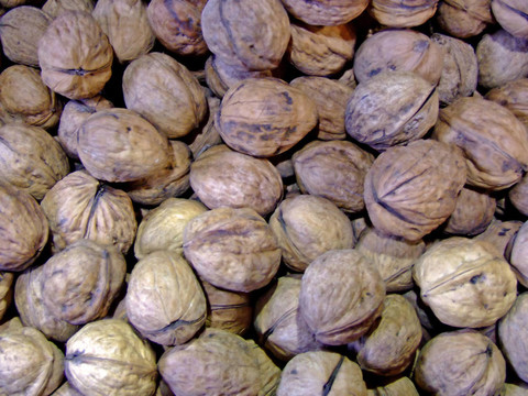 核桃堅(jiān)果殼