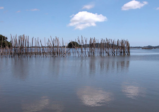 釣魚景觀
